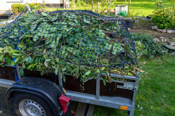 Best Carpet Removal and Disposal  in Carleton, MI
